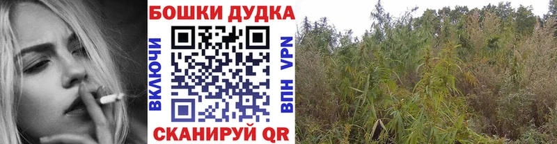 Купить закладку Аркадак ГАШИШ  Alpha-PVP  Меф мяу мяу  COCAIN 