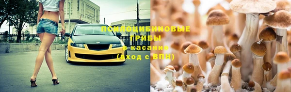 твердый Алзамай