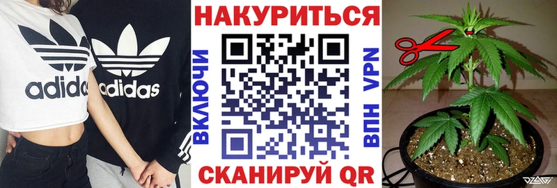 Бошки марихуана гибрид  где купить наркоту  Аркадак 